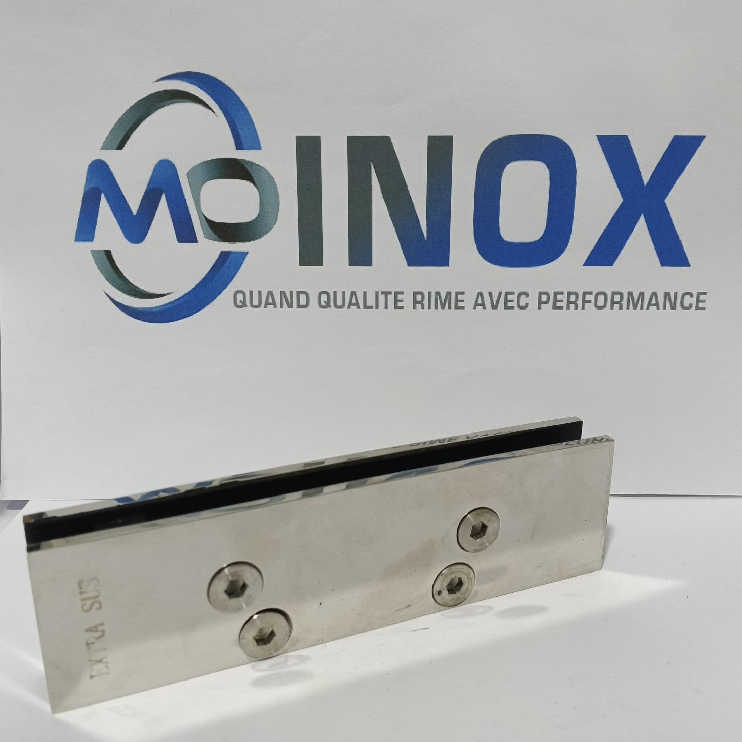 Charnière inox droite pour porte