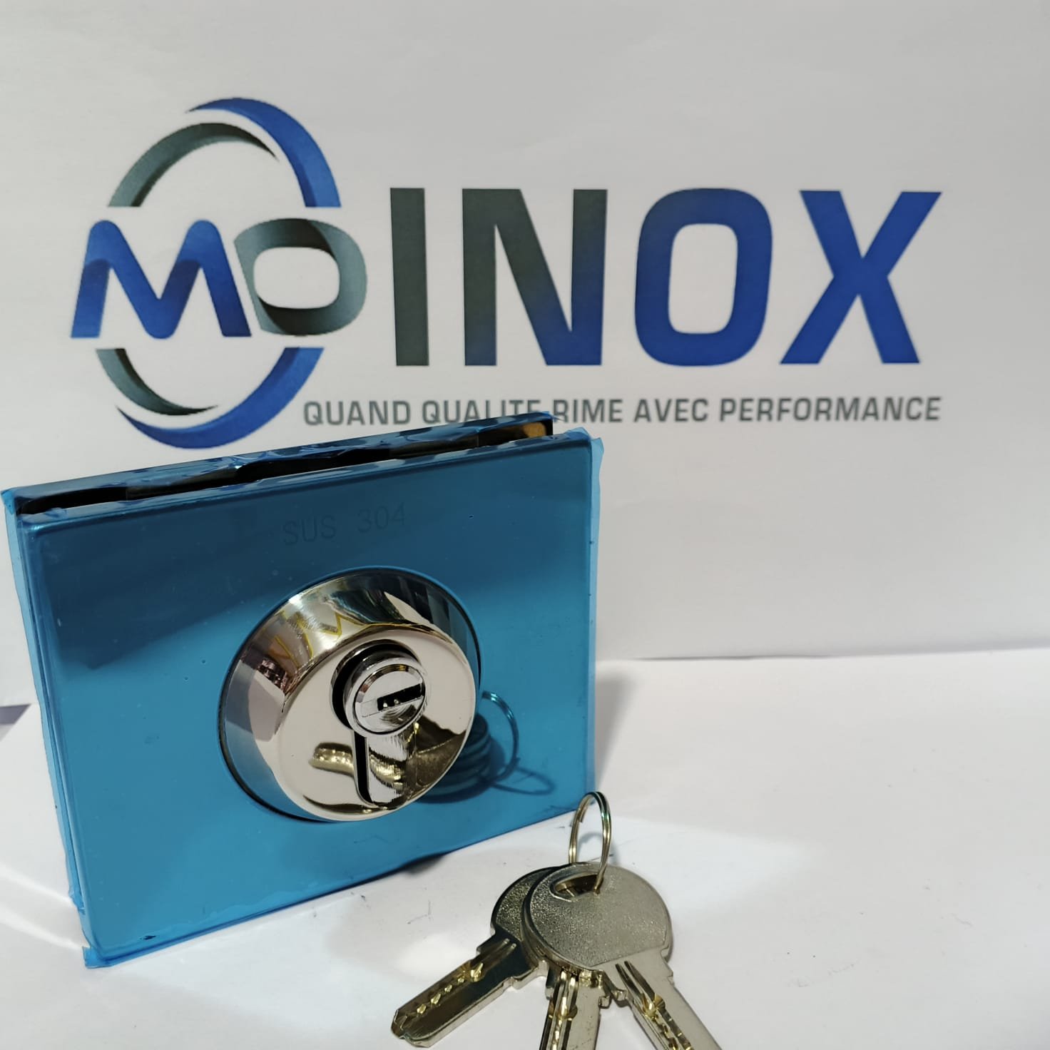 Charnière inox bleue avec verrou